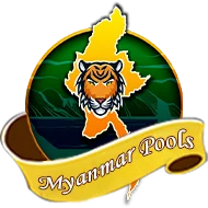 boyasolid11.com